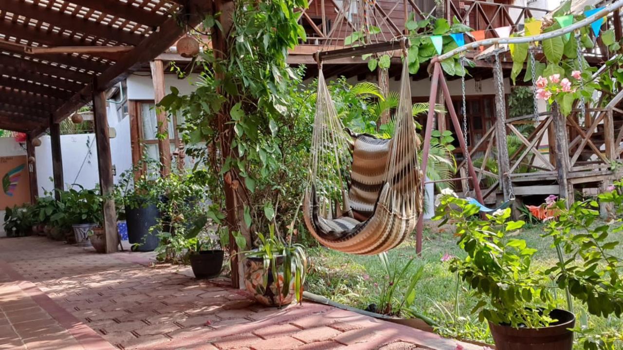 Cabanas Colibri Bacalar Exterior foto