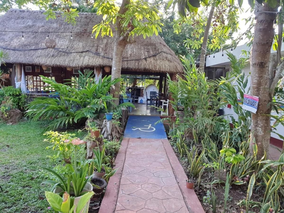 Cabanas Colibri Bacalar Exterior foto