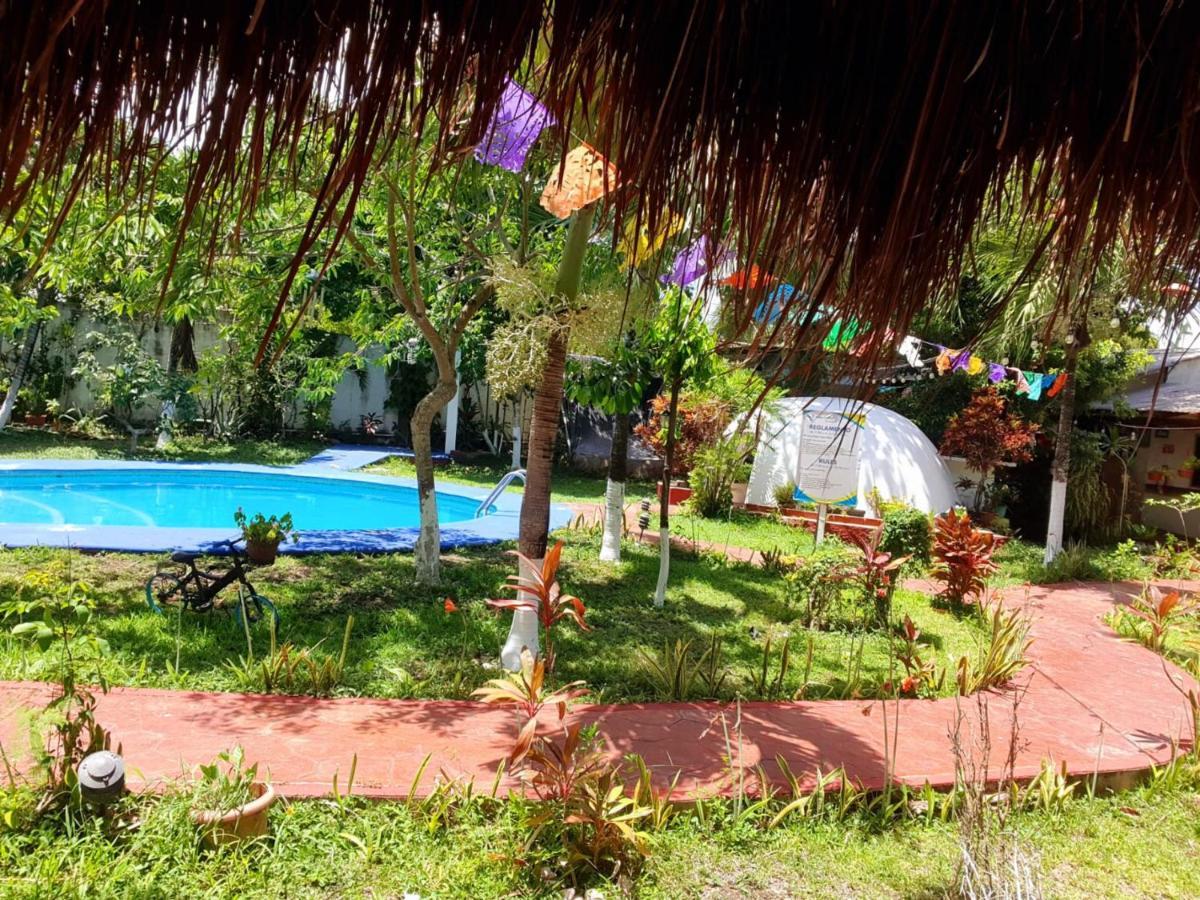 Cabanas Colibri Bacalar Exterior foto