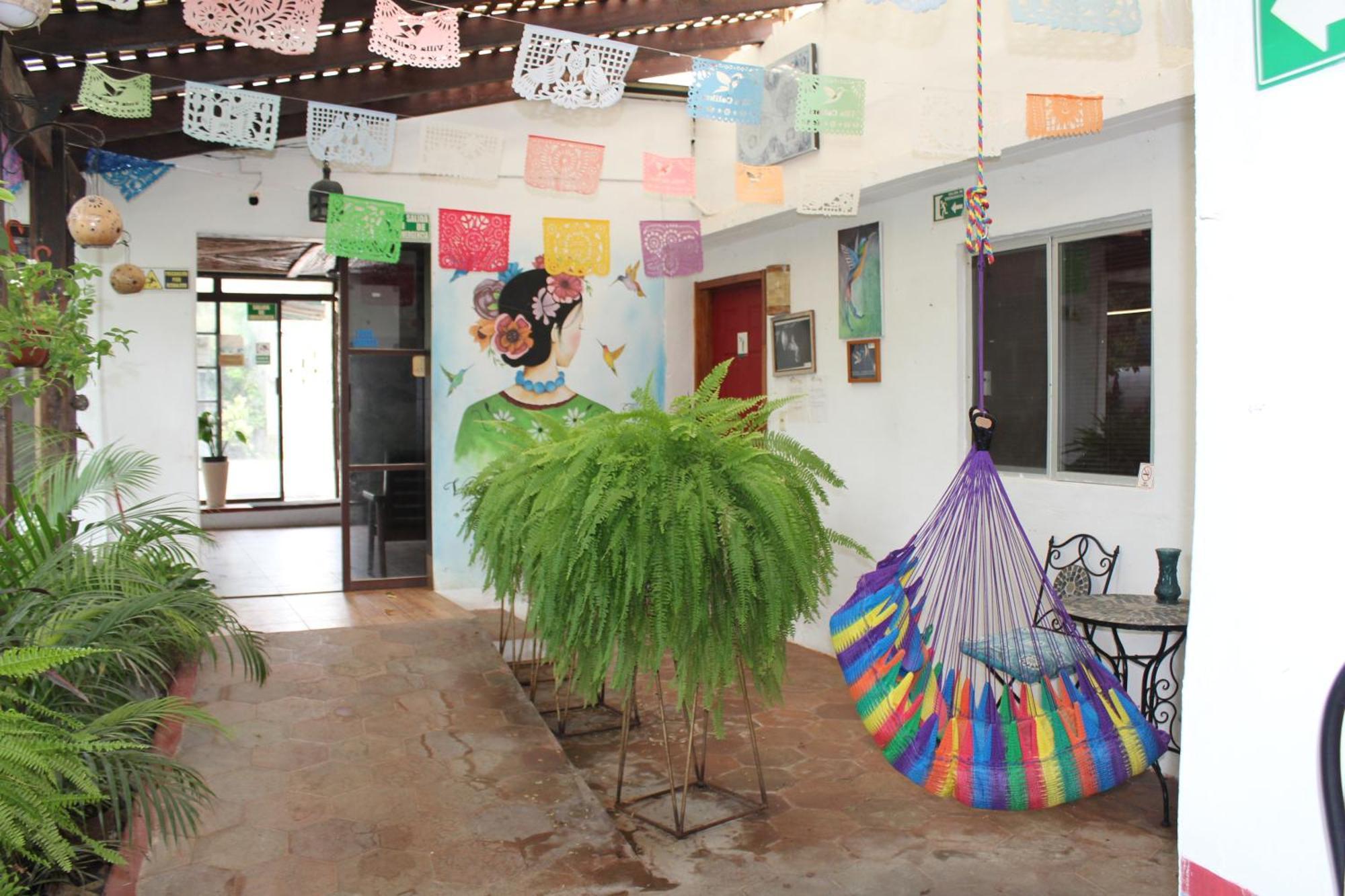 Cabanas Colibri Bacalar Exterior foto