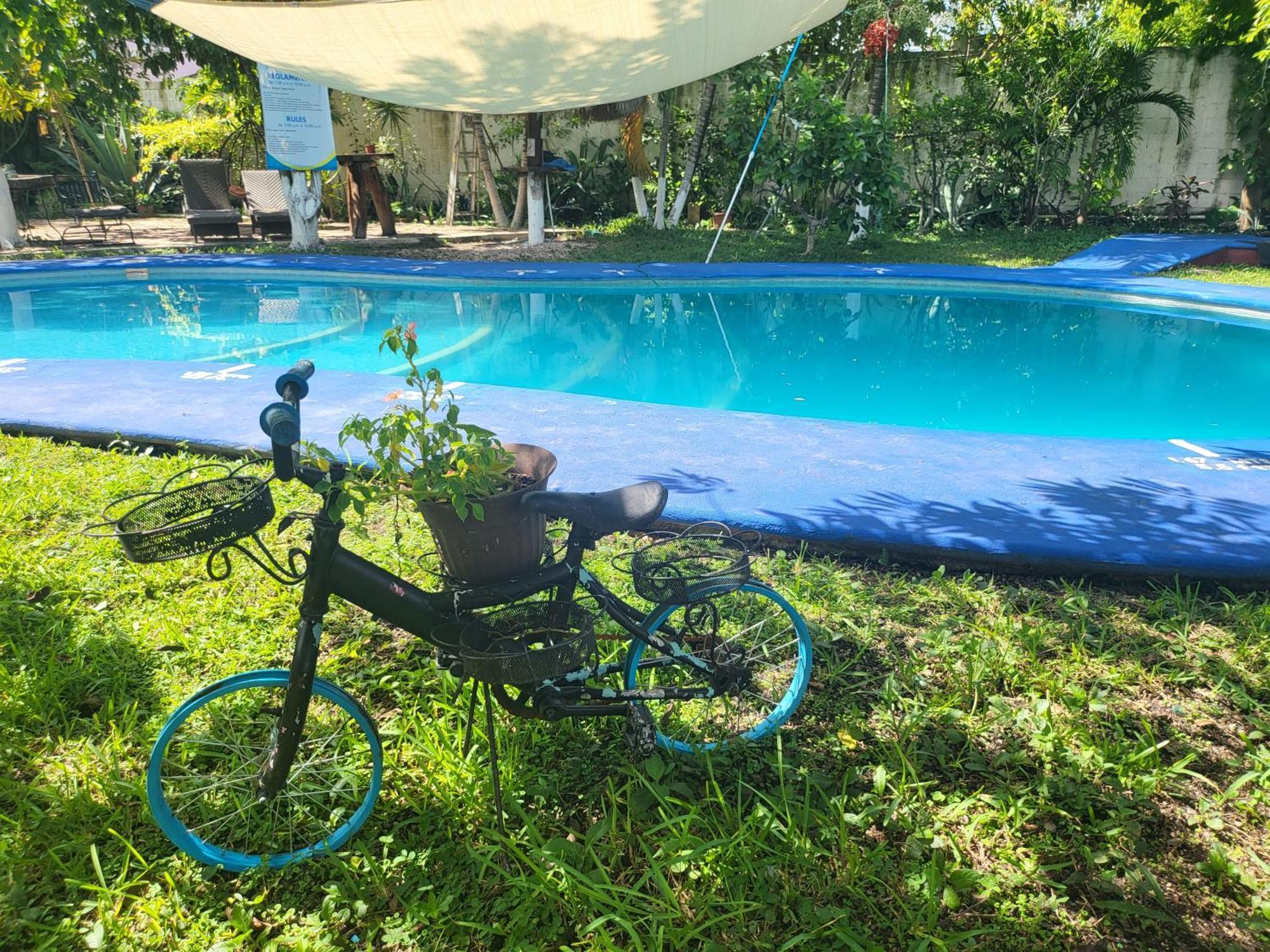 Cabanas Colibri Bacalar Exterior foto