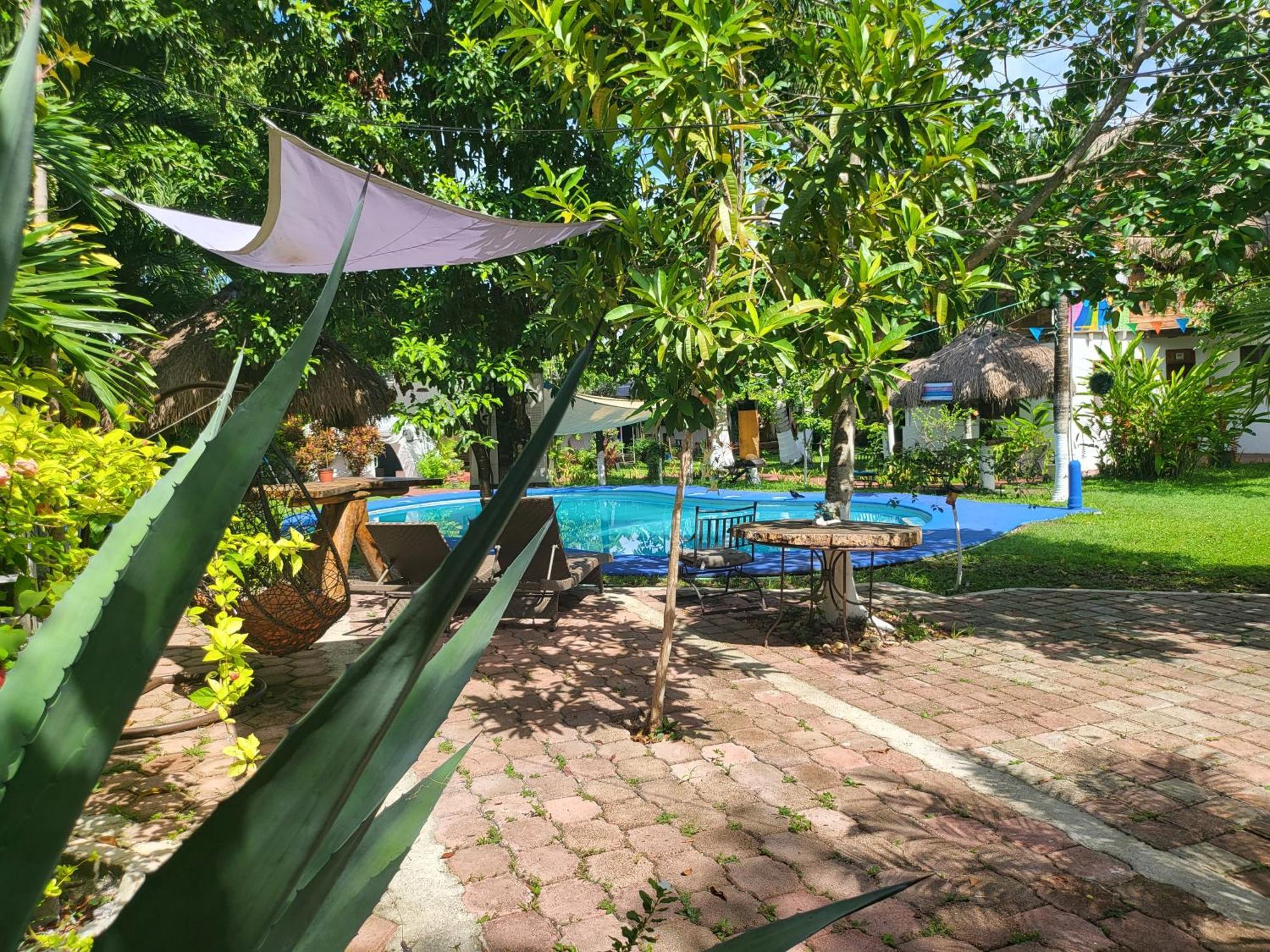 Cabanas Colibri Bacalar Exterior foto